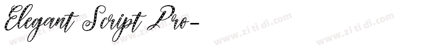 Elegant Script Pro字体转换